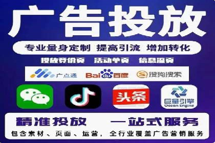 行业专家解析SEM代运营成功案例